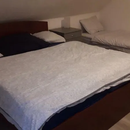 Vakantiehuis Ubytovani U Skalickych Dobris
